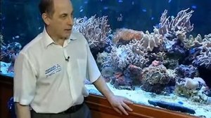 Океанариум на Чистых прудах в Москве | голотурия