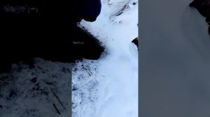 Рыбалка на р.Ендырь ХМАО