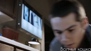 Дерек и Стайлз || Стерек || Глаза в глаза || Sterek