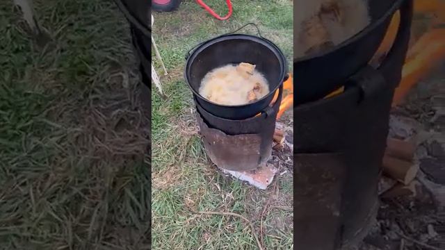 сазан Астраханский дикий смотреть онлайн