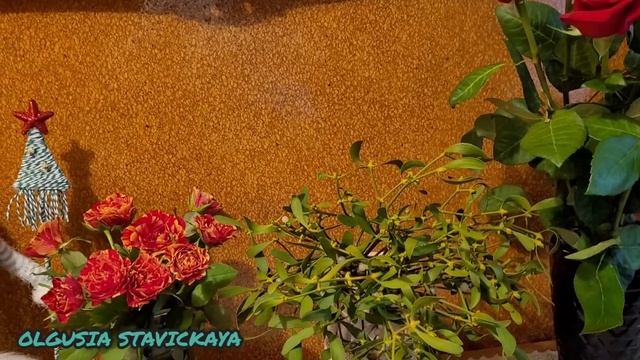 ЛЮБУЮСЬ ЦВЕТАМИ???НАСЛАЖДАЮСЬ ЭЛЕКТРОПРОСТЫНЁЙ ADLER EUROPE?18.12.21 смотреть онлайн