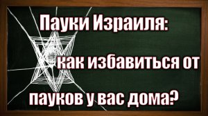 Сионистские СМИ: В Израиле реализуется теория «дома паука»