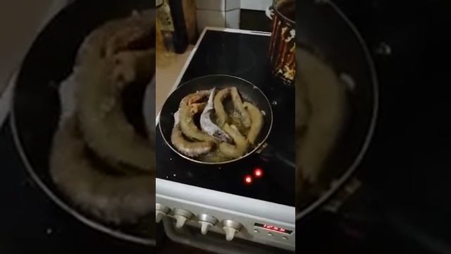 Рыба оживает на сковороде смотреть онлайн