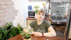 Что положить на дно горшка Чем посыпать почву Чтобы растения росли как на дрожжах?