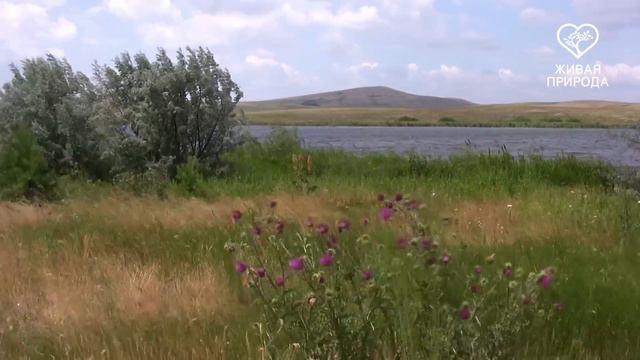 Озеро Уляндыкуль