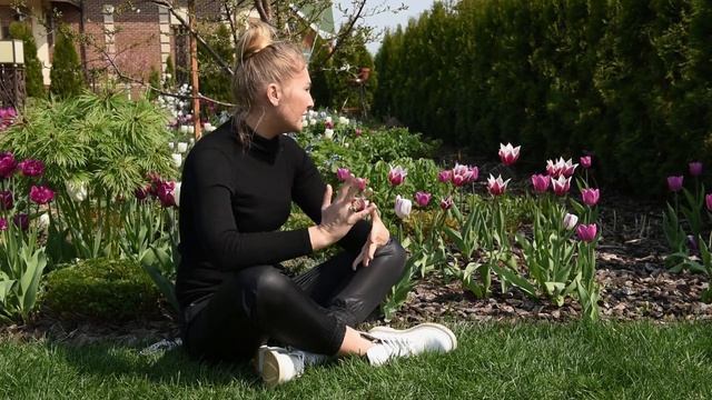 Тюльпаны | Цветение тюльпанов | Клумба с тюльпанами | Цветник с тюльпанами | Когда сажать тюльпаны?