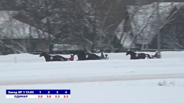 РАМ 25.11.23 1-й заезд смотреть онлайн