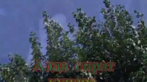 Сират Күпере.Татарча Караоке