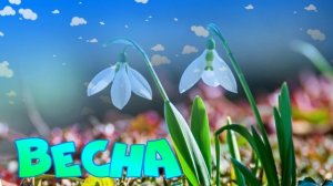 Футаж. Весна 24