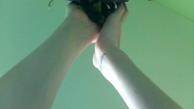 ASMR plants: european hornbeam (no speaking) смотреть онлайн