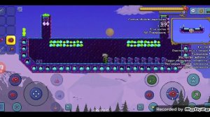 Все йо-йо в Террарии?