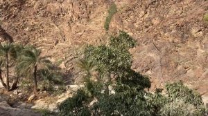 Дубай — Фуджейра. Как добраться? Дорога. Dubai — Fujairah