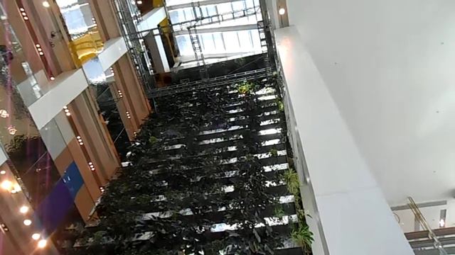 Москва | Внутри Торгового Центра стена с вьюном на Цветном бульваре