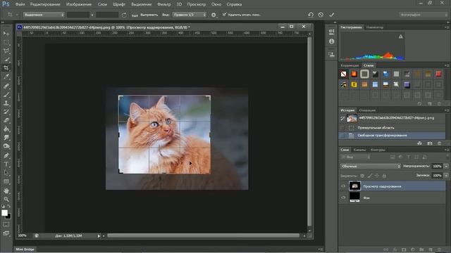 Кадрирование+ добавление рамки смотреть онлайн