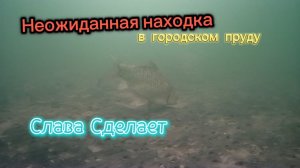 Неожиданная находка в городском пруду