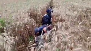 Украинский НЕдоброволец.