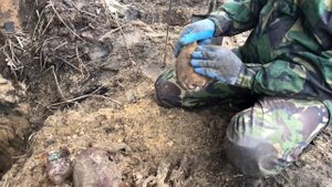 Раскопки в Ленинградской области 14