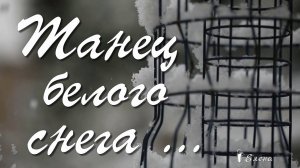 Танец белого снега*