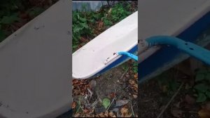 Катамаран янтарь СССР