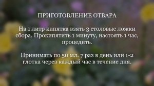 Сбор № 171. При язвенной болезни желудка и двенадцатиперстной кишки с повышенной кислотностью,