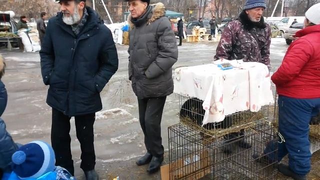 20160313 110336 2016.03.13 - Иваново - Рынок на Рабочием посёлке смотреть онлайн