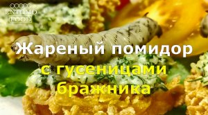 Жареный помидор с гусеницами табачного бражника