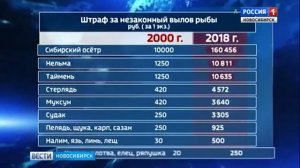 Рыбалка в России запрещена Антинародные реформы продолжаются.