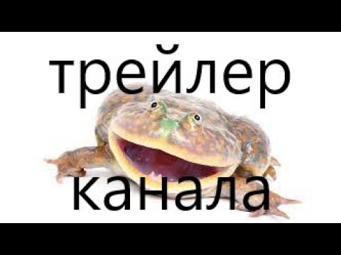 трейлер канала