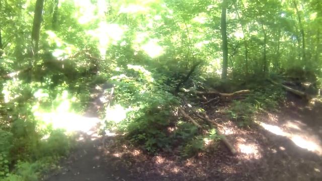 КАК ТРЕНИРОВАТЬ ПИТБУЛЯ\\СТАФФОРДА смотреть онлайн