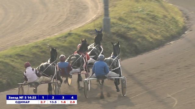 РАМ 11.11.23 5-й заезд смотреть онлайн