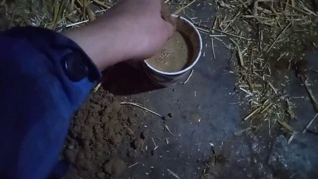 Отек вымени у коровы после отела,как лечить? Народное средство. смотреть онлайн