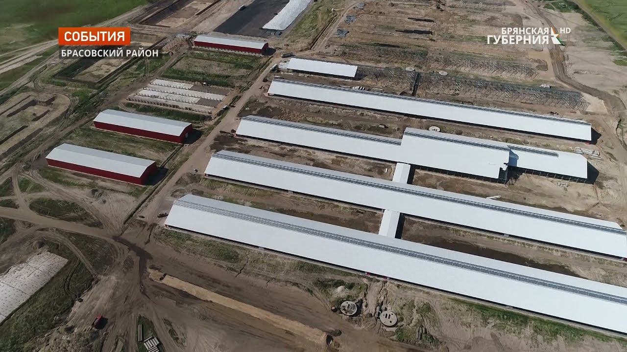 Видео охотно. Ферма в Брасовском районе. Ферма в Перочинском районе. В Башкирии построят новую молочную ферму.