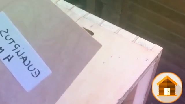 Из старого комода делаю удобную и красивую тумбу под телевизор с выдвижными дверцами смотреть онлайн