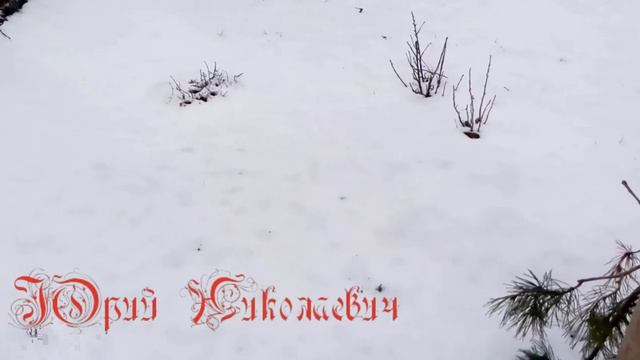 Зимняя дача #2 | Winter cottage #2 смотреть онлайн