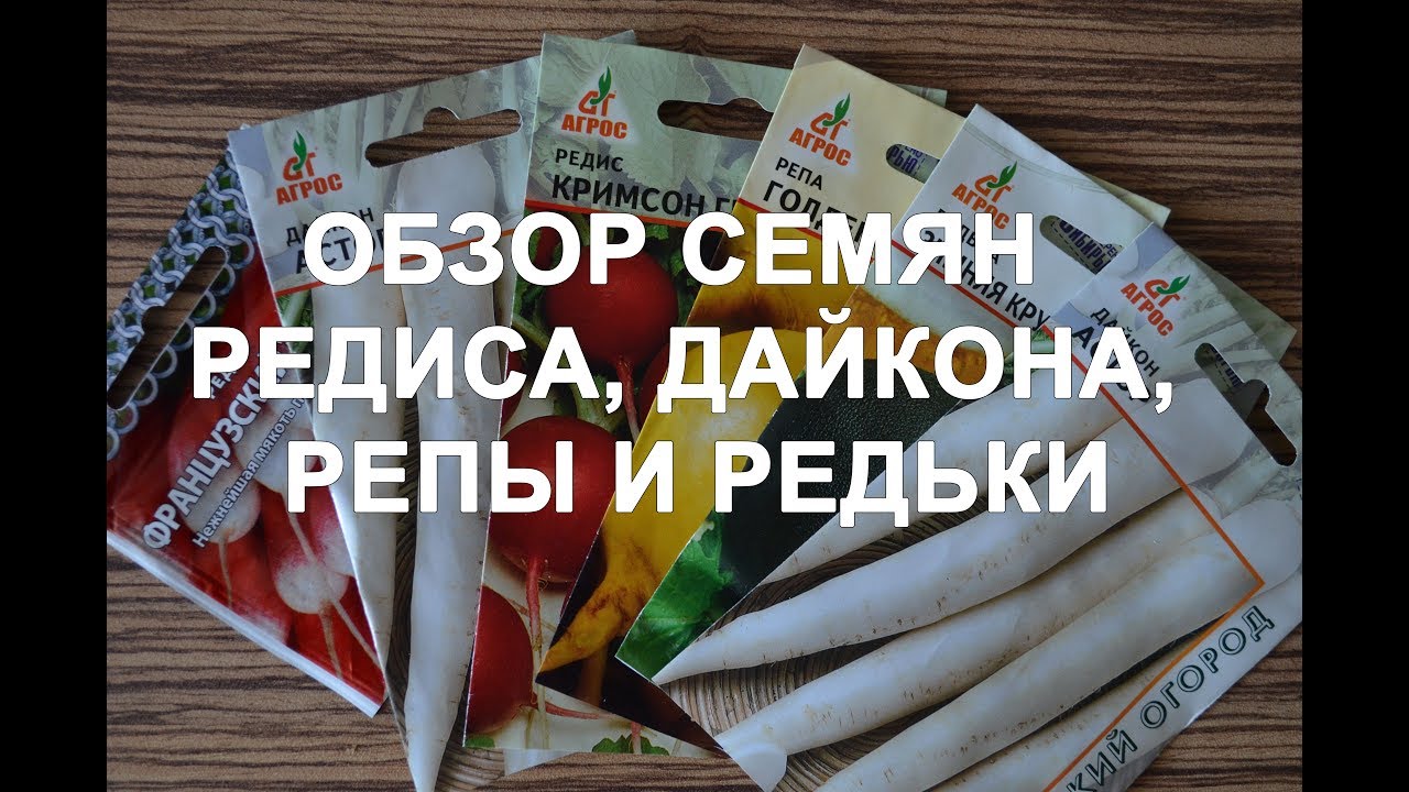Обзор семян редиса, дайкона, репы, редьки какие лучше, какие выбрать?