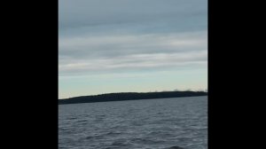 Река Волга в городе Калязине, в районе городского пляжа (08.11.20)