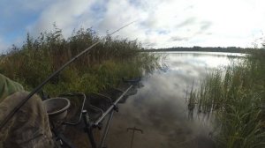 Ловля плотвы на фидер осенью, или рыбалка в середине сентября на стоячем водоеме, Калужская область