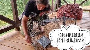 Распаковка котоловки и обзор ночных жабонек