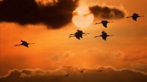 Чуєш, брате мій (Hey, my brother) [Л.Лепкий, Б.Лепкий]