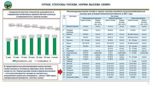 ВПР 2021 Презентация