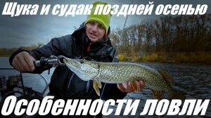 Ловля щуки и судака на спиннинг поздней осенью