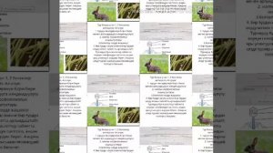 Биология 10 класс Тема:Тируу организмдердин классификациясы жана коп турдуулугу