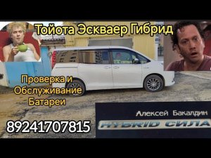 Тойота Эскваер Гибрид Проверка и обслуживание батареи 89241707815