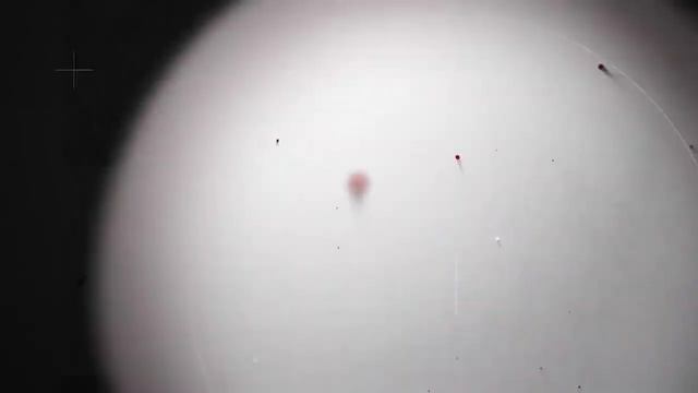 Що таке мікропластик? Включи субтитри. What is microplastic?