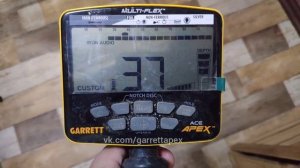 Как узнать номер прошивки Garrett ACE Apex?