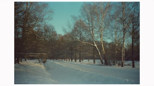 тестирую praktica m10 |  ПЛЕНОЧНЫЙ ВЛОГ #1