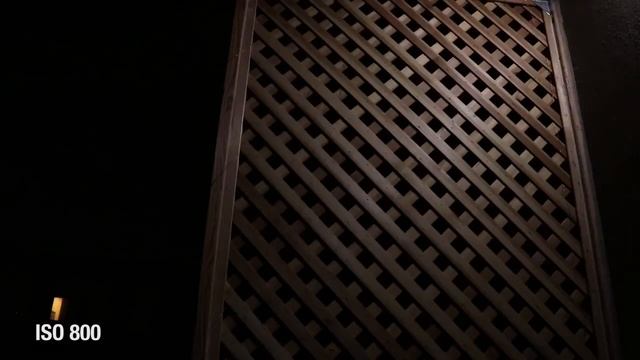 Canon eos 80D Video Test смотреть онлайн