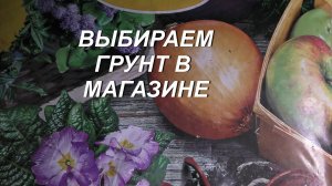 ВЫБОР ГРУНТА В МАГАЗИНЕ