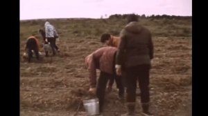 1983 колхоз картошка