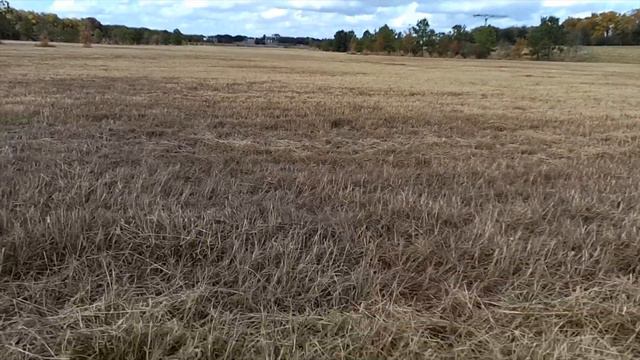 Winglsand S6 Drone Flight and Video Test смотреть онлайн